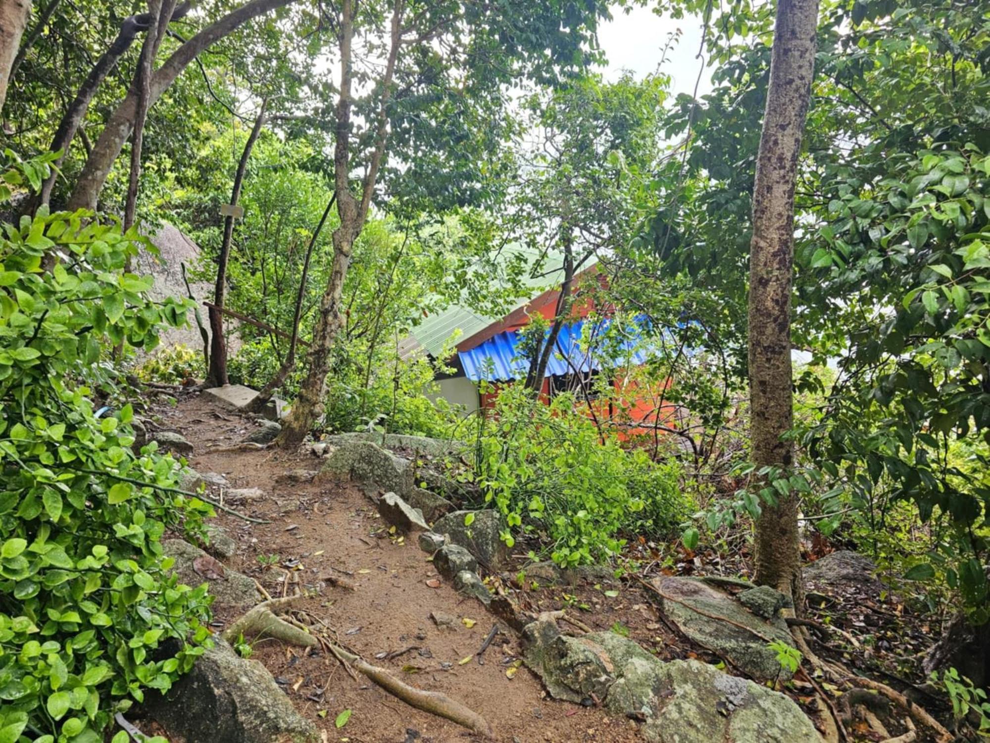 Tao Thong Villa 2 Koh Tao Eksteriør billede